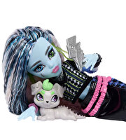 Monster High Ana Karakter Bebekler Frankiestein JHK31