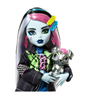 Monster High Ana Karakter Bebekler Frankie Stein HXH73