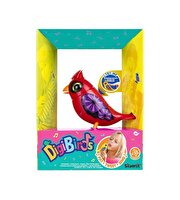 Digibirds Tek Paket Seri 1 Kırmızı