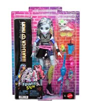 Monster High Ana Karakter Bebekler Frankiestein JHK31