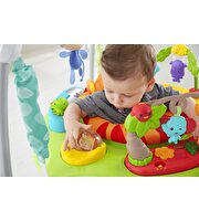 Fisher Price Yağmur Ormanı Jumperoo
