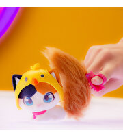 QT Kitties Oli Yavru Kedİ