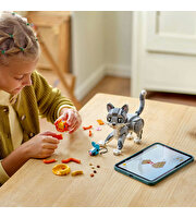 LEGO Creator 3'ü 1 Arada Oyunbaz Kedi 31163
