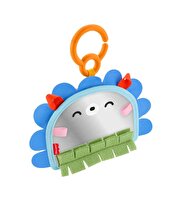 Fisher Price Eğlenceli Kirpi Ayna JHB45