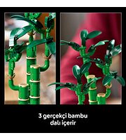 LEGO Botanicals Şans Bambusu 10344