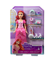 Disney Prenses Ariel ve Aksesuarları HLX34