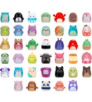 Squishmallows Squish-a-Longs 40’lı Mini Figür Seti