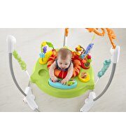 Fisher Price Yağmur Ormanı Jumperoo