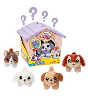LLP Yavru Köpeğim ve Evi Sürpriz Paket