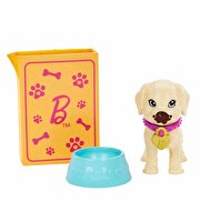 Barbie ve Köpekçikleri Oyun Seti HKD86