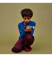 LEGO Speed Champions Audi Revolut F1 Team R26 Yarış Arabası 77259