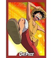 Panini One Piece 25. Yıl Dönümü Paketi