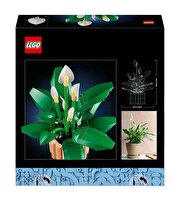 LEGO Botanicals Barış Çiçeği 11504