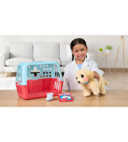 LLP Yavru Köpek İyileşiyor 26679