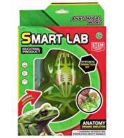 Kurbağa Laboratuvar Seti