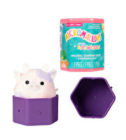 Squishmallows Micromallows Sürpriz Paket Peluş