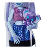 Monster High Güzellik Sırları Abbey Bominable JHK44