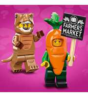 LEGO Mini Figures 71037