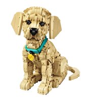 LEGO Icons Yavru Golden Retriever 11384