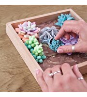 OKTO Succulents Tenderness 3D Duyusal Sanat Seti