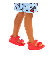 Barbie Aksesuarlı Chelsea Bebekler HXM97