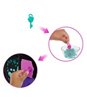 Monster High Gizemli Arkadaşlar 3.Seri Twyla HNF82