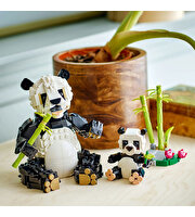 LEGO Creator 3'ü 1 Arada Vahşi Hayvanlar: Panda Ailesi 31165