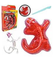 Kertenkele Laboratuvar Seti