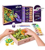 OKTO Succulents Energy 3D Duyusal Sanat Seti