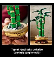 LEGO Botanicals Şans Bambusu 10344