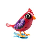 Digibirds Tek Paket Seri 1 Kırmızı