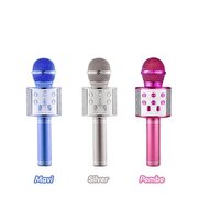 Karaoke Mikrofon WS-858