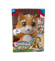Emotion Pets Evcil Hayvanlar Sarı Kedi