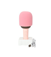 Doppler Rainbow Karaoke Pembe Mikrofon