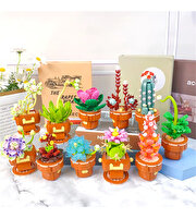 Mega Bitki Çiçekleri Kaktüs 181 Parça