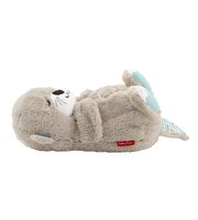 Fisher Price Uyku ve Oyun Arkadaşı Su Samuru FXC66