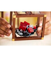 LEGO Ideas Mineral Koleksiyonu 21362