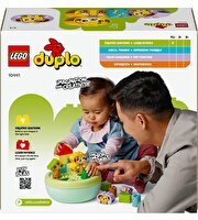 LEGO Duplo Şekil Ayırıcı: Köpek Evi 10441