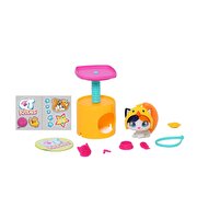 QT Kitties Oli Yavru Kedİ