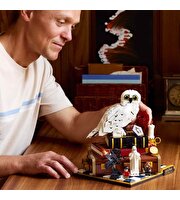 LEGO Harry Potter Felsefe Taşı Koleksiyoncu Versiyonu 76466