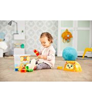 Mega Bloks Sevimli Hayvanlar Blok Kutusu Laughing Lion GFM26