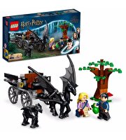 LEGO Harry Potter Hogwarts Araba ve Testraller 76400