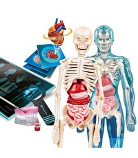 Clementoni Bilim ve Oyun: Süper Anatomi