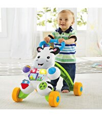 Fisher Price Melodili Zebra Yürüteç DLD80