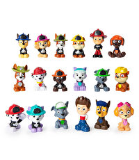 Paw Patrol Sürpriz Mini Figür