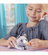 Yenidoğan Minik Dostum Kedicik F4087