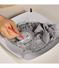 Kazıcı Dinoskeletonlar Stegosaurus