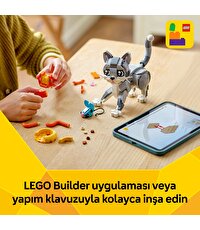 LEGO Creator 3'ü 1 Arada Oyunbaz Kedi 31163