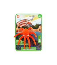 Hareketli Hayvanlar Serisi Turuncu Ahtapot