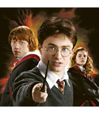 Harry Potter Hafıza Oyunu